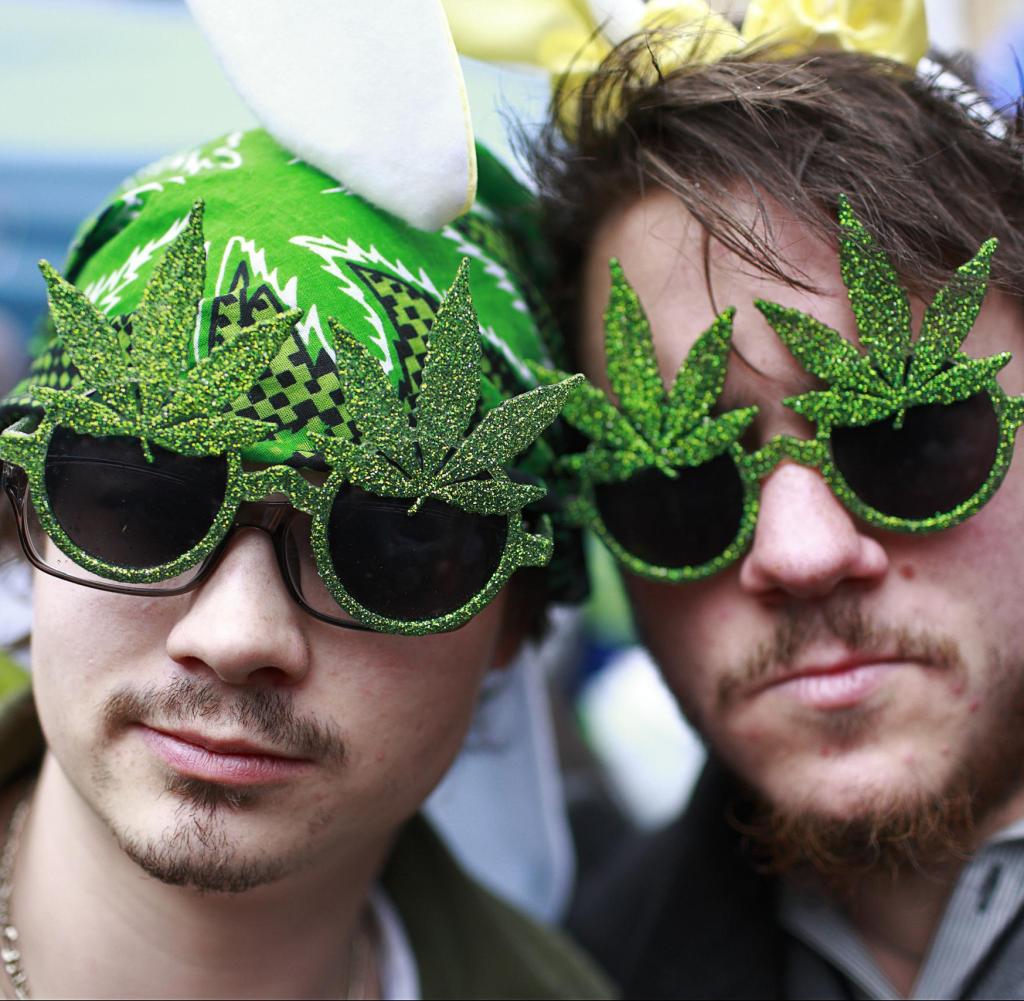weed in hannover