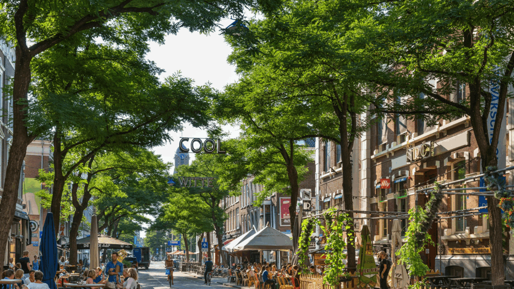 weed in rotterdam, netherlands